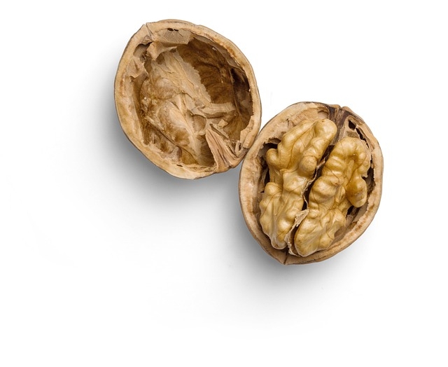 Picture of two halves of an open walnut shell, one is empty, the other contains the whole walnut.